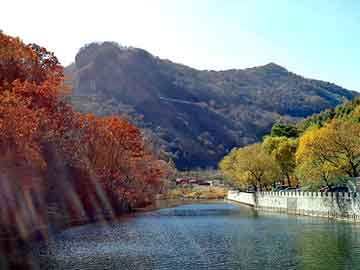 澳门二四六天天彩图库，今日柴油批发价格